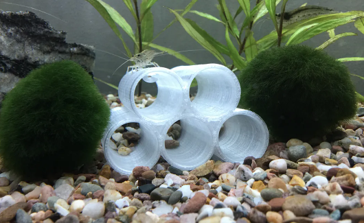 Shrimp tunnel