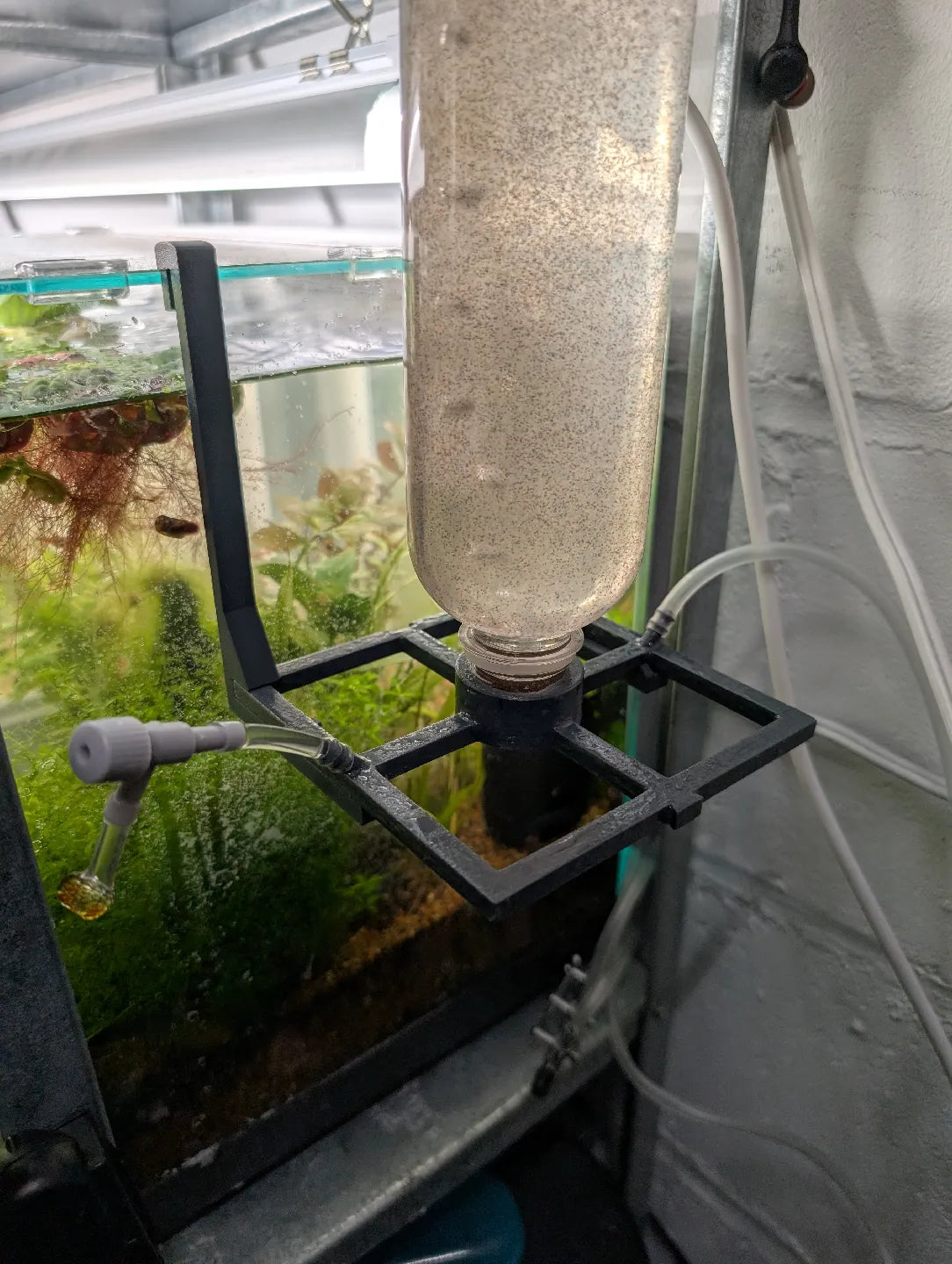 Brine shrimp modular hatchery base